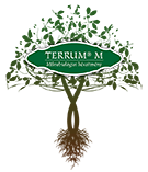 Terrum